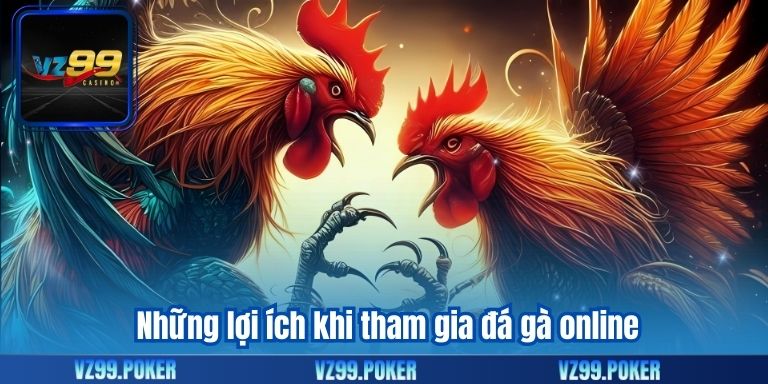 Những lợi ích khi tham gia đá gà online