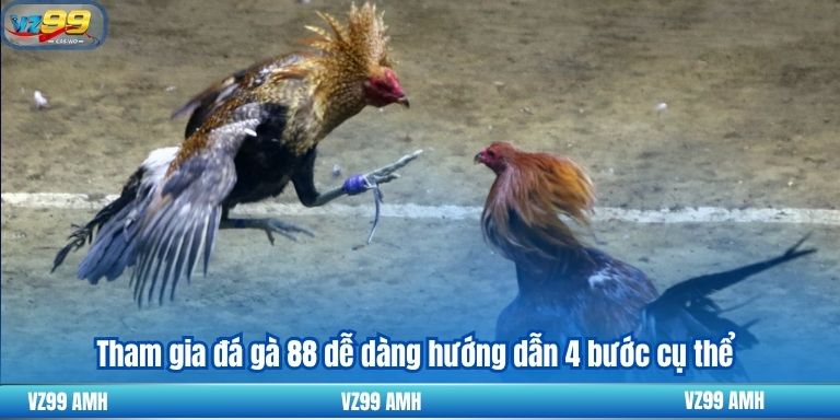 Tham gia đá gà 88 dễ dàng hướng dẫn 4 bước cụ thể