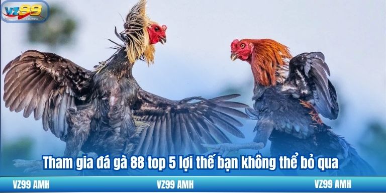 tham gia đá gà 88 top 5 lợi thế bạn không thể bỏ qua