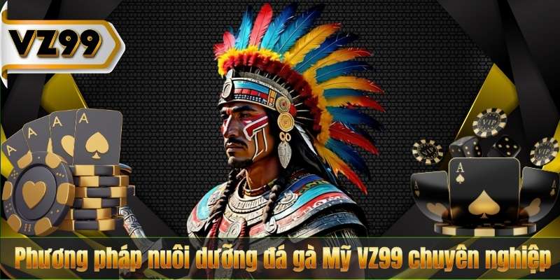 Phương pháp nuôi dưỡng đá gà Mỹ VZ99 chuyên nghiệp