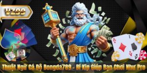 Thuật Ngữ Cá Độ Bongda789 - Bí Kíp Giúp Bạn Chơi Như Pro